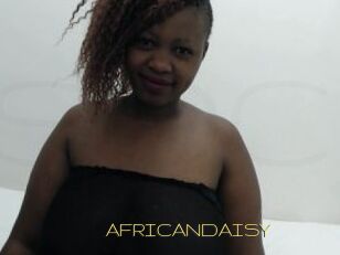 AFRICANDAISY