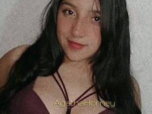 AgathaHorney