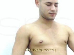 Anthonyhorny