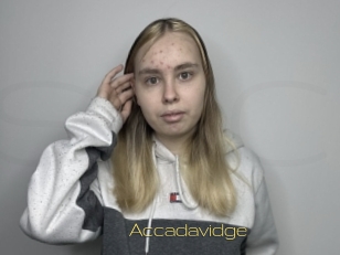 Accadavidge