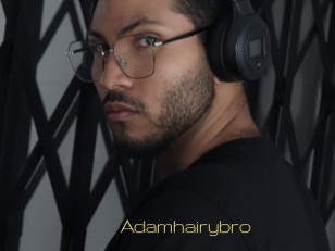 Adamhairybro