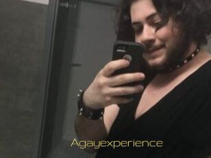 Agayexperience