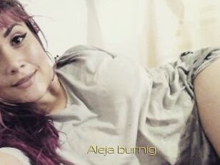 Aleja_burnig