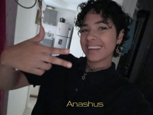 Anashus