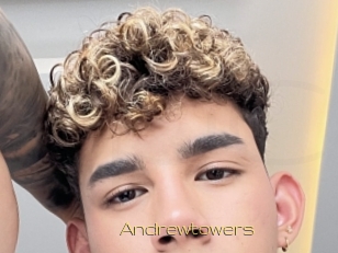 Andrewtowers