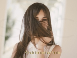 Andrianamartinis