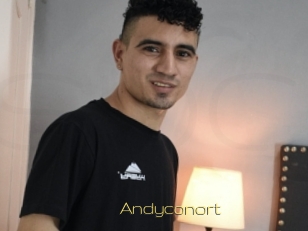 Andyconort