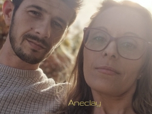 Aneclay