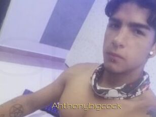 Anthonybigcock