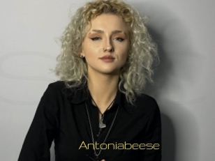 Antoniabeese