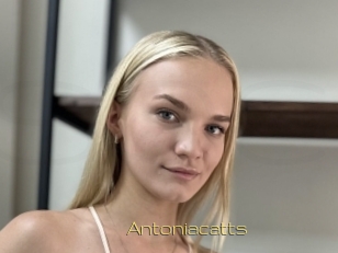 Antoniacatts