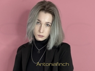 Antoniafinch