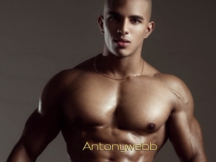 Antonywebb