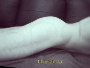 BlueBirdy