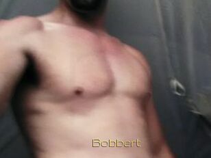 Bobbert