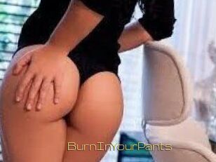 BurnInYourPants