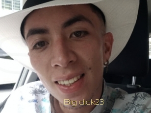 Big_dick23