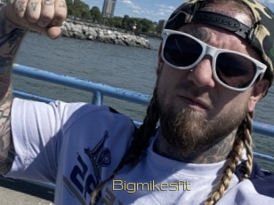 Bigmikesfit