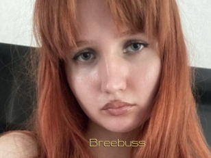 Breebuss