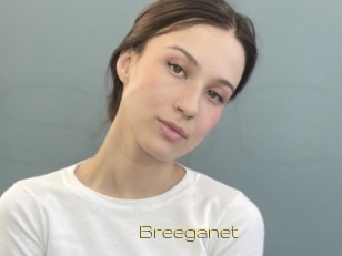 Breeganet