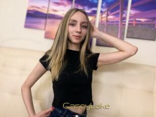 CaseyLake