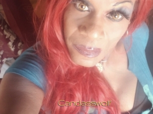 Candasswolf