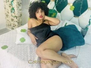 Cataleyaguerrero