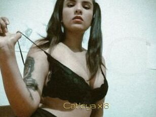 Catleya_x18
