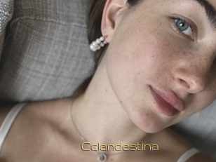 Cclandestina