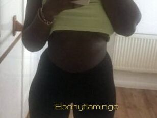 Ebony_flamingo