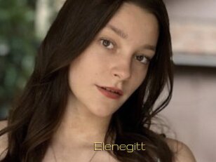 Elenegitt