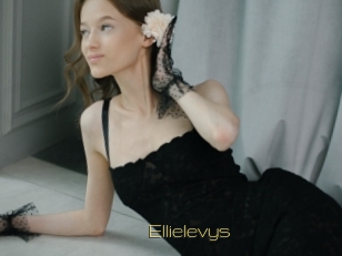 Ellielevys