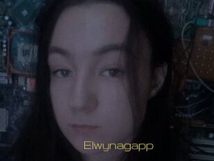 Elwynagapp