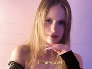 Emiliabush