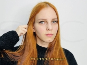 Erlenechesser