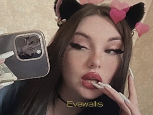 Evawallis