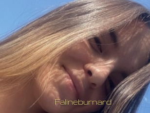 Falineburnard