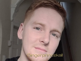 Gingerprincekall