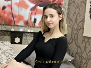 Karinatender