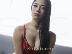 Karlieebunny