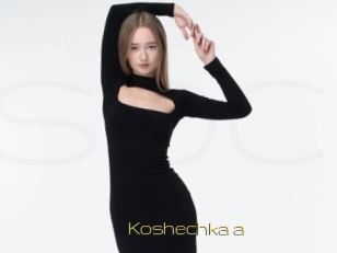 Koshechka_a