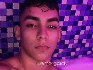 Liambiigdick