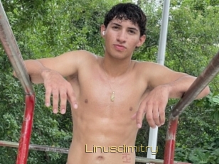 Linusdimitry