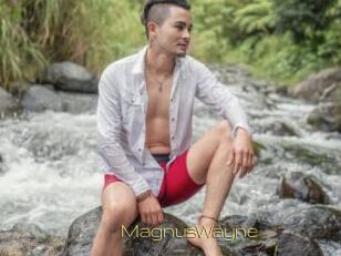 MagnusWayne
