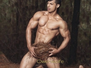 Owenwolfe