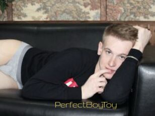 PerfectBoyToy