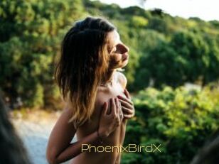 PhoenixBirdX