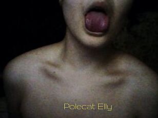 Polecat_Elly