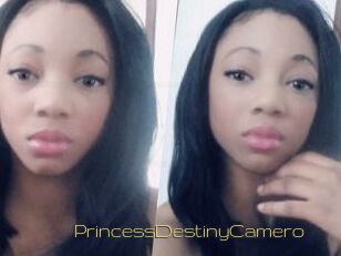 PrincessDestinyCamero