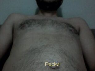 Pedwil